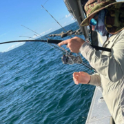 image of a man snapper fishing